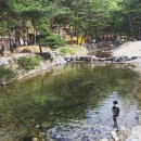 금물산하늘소캠핑장