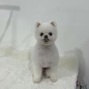 또또살롱 이미지