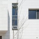 나무건축사사무소 이미지