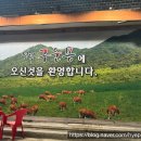 명덕구운몽