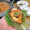 자갈치산곰장어