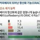 커피체리 - 세종특별자치시 운주산로 1185 | 커피체리