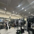 LINEUP 1989 이미지