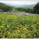 농산어촌여행-[강원/태백] 이미지