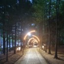 이음숲