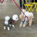 대동유치원 | 실내, 외 애견동반 가능 대형카페 <경남 김해 카페 대동숲>