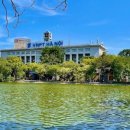 하노이스토리 이미지