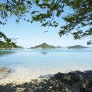 위도스케치 이미지