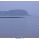 주산중학교 이미지