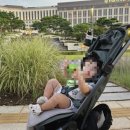 (주)구디팡 | 내돈내산 줄즈 에어2 솔직 구매후기(할인팁 포함)