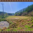 오전약수관광단지 이미지