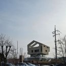 산수유축제장 | [양평 산수유한우축제] 양평 여행코스 추천! 산수유꽃 &amp; 한우 맛까지 즐기는 봄축제 후기