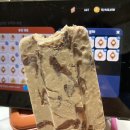 고은뜨개방 - 고양시 덕양구 화신로260번길 57 | 고은뜨개방