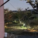 마음담은계절농원 이미지