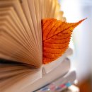 서정초교 | 모여서 함께 길을 찾다!