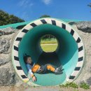 [누리]🍂가을나들이-영천녹색체험터🍂 이미지