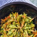 후니농장 이미지