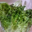 아줌마네 삼겹살