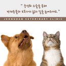 정담병원 네이버블로그