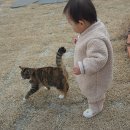 예사랑어린이집 | 청도 펜션 추천 아기랑 촌캉스 여행 청도예사랑