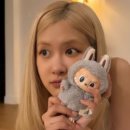 큰사랑마트 이미지