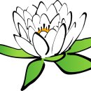승리마루태권도 이미지