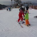 설천면010 | 무주스키강습 우리 아이들 첫 스키강습 동영상
