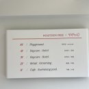 왓숑미용 이미지