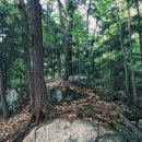 트루러브
