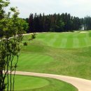 ㈜타미우스골프앤빌리지 | 제주 타미우스cc 가성비 좋은 동반자 혜택 회원권