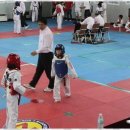 박사 엘리트 태권도 이미지