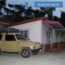 아잘리아그린 이미지