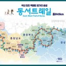 동서1로 Daum카페