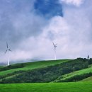 영원목장 이미지