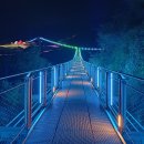 (기획투어)나이트가든투어 | 포천야경명소 추천 한탄강가든 나이트투어