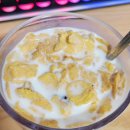 세븐일레븐 대구월성효성점 | 2026년 3월의 기록 : 먹방 6편 - 투썸 말차 아이스박스 / 팔도 즉석라볶이