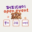 부송푸른솔 | 익산애견미용, 익산애견미용실 즐거움가득 퍼피데이!