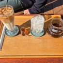 고냥이네 | [제주] 고냥이 가득 카페 소길다방🐱