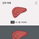 팔도빈대떡앤보쌈 네이버블로그