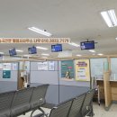 행정사사무소나무 이미지