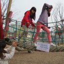 용미초등학교 이미지