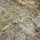 혜원네민박 이미지