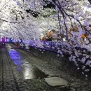 여좌천거리 이미지