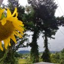 무주칠연캠핑장 이미지