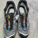 맑은운동화 | 살로몬 운동화 세탁, 찌든 얼룩에 광택 잃은 살로몬 XT-6 신발 코팅까지 복원