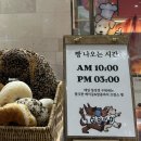 쉬즈베이글 행복한백화점점 - 양천구 | 범계역빵집 | 베이글리스트 X 라크루뜨 서울 롯데백화점 평촌점 방문후기 & 메뉴추천