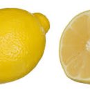 레몬의 꿈 이미지