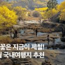 주)낙안온천 이미지