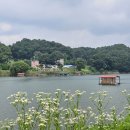 용설 이미지