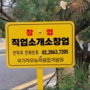 우리직업소개소 네이버블로그